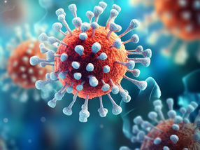 Coronavirus vaccination: body builds immune memory in organs