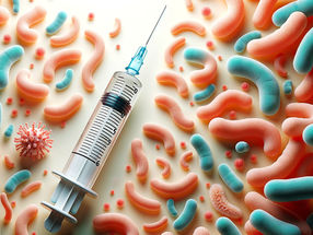 Collaboration to develop vaccine against Helicobacter pylori