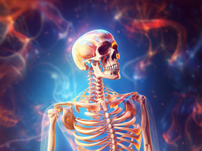 AI identifies antimalarial drug as possible osteoporosis treatment