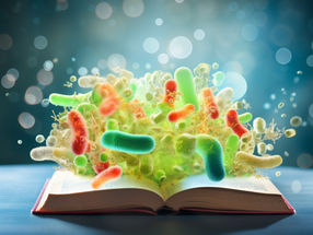 Textbook knowledge turned on its head: 3-in-1 microorganism discovered