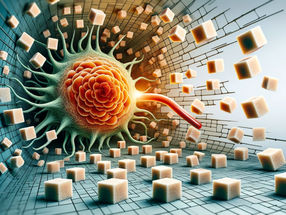 Utilizing the tumor's appetite for sugar