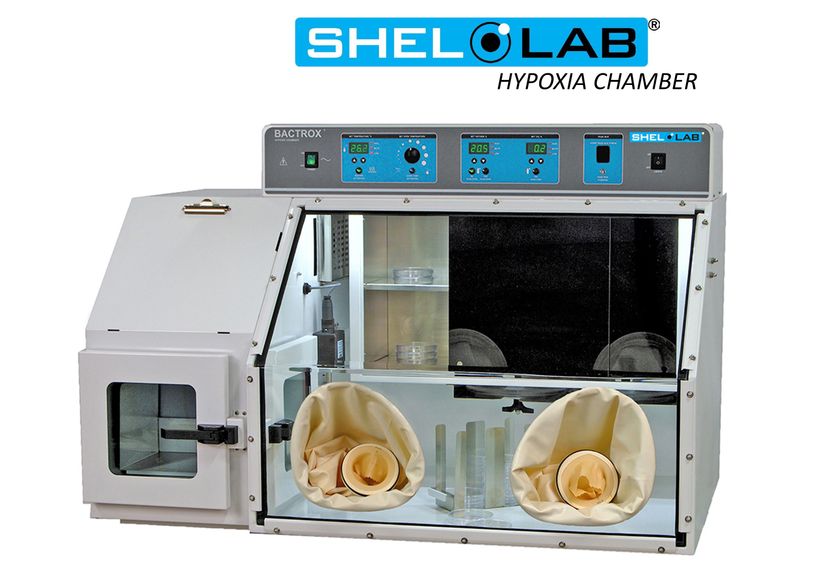 Bactrox – Hypoxia chamber for precise oxygen control (1 ...