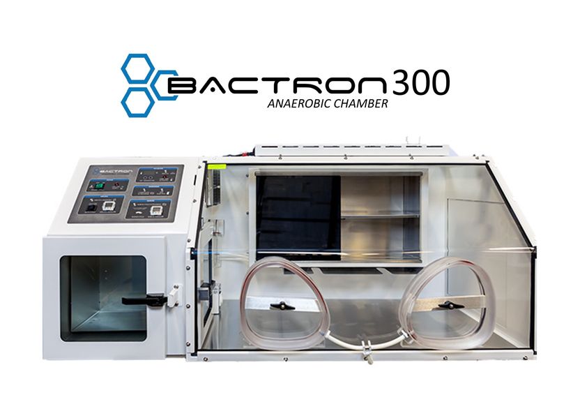 Bactron 300 – space saving anaerobic chamber with integr ...