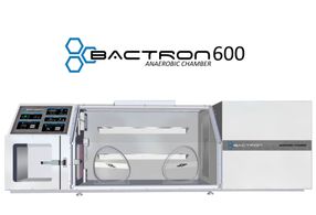 Bactron 600 – anaerobic chamber with extra large side in ...