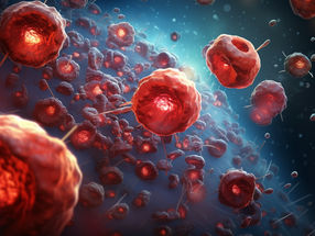 Intestinal stem cells drive age-related inflammation