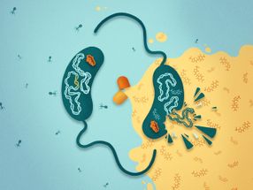 Antibiotics highjack bacterial immunity