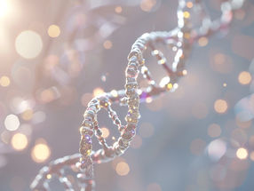 What Our Genetic Information Tells Us About Type 2 Diabetes Risk and Complications
