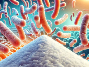 Researchers succeeded in biomanufacturing using chemically synthesized sugar for the first time in the world
