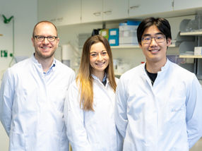 New findings on the immune system: Hope for highly effective vaccines and new therapies