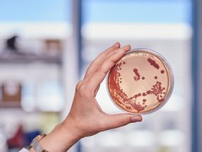 A new path to active ingredient diversity