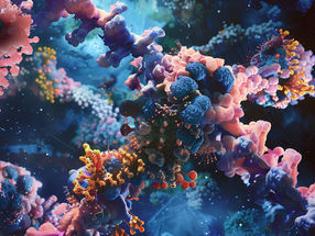Acetylation: a Time-Keeper of glucocorticoid Sensitivity