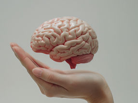 New findings offer hope towards novel tailored immunotherapies against brain tumours