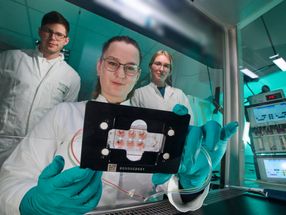New Opportunity for Cancer Therapy: Miniature Lab Provides Insights into Metastases Development