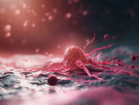 Derivatives of the thalidomide compound drive resistant cancer cells to their deaths