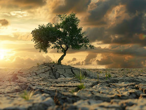 How Climate Change Threatens Health and What this Means for Germany
