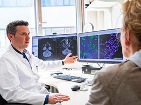 New disease discovered: How the immune system destroys the cerebellum