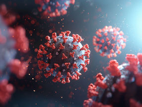 Scientists Unravel Life-saving Effect of Dexamethasone in COVID-19