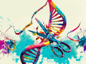 Sharpening the gene scissors together