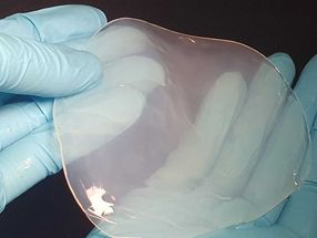 How researchers turn bacteria into cellulose-producing mini-factories