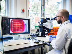 Affordable bioprinting: tissue at the touch of a button