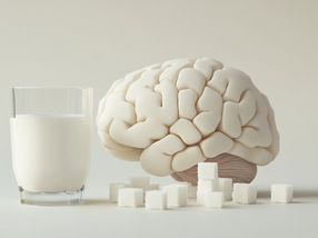 Is less sugar better for our brain?