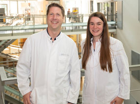 Central mechanism of inflammation decoded