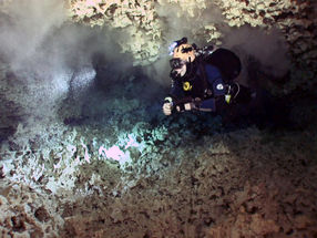 Venomous crustacean from Mayan underwater caves provides new drug candidates