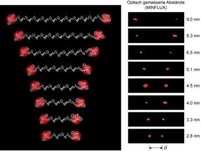 Researchers can measure distances in molecules optically