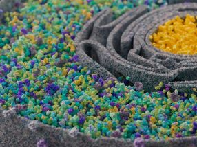 Protein interactions: who is partying with whom and who is ruining the party?