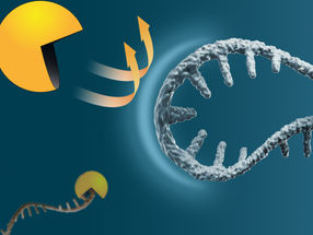 Don’t kill the messenger RNA!
