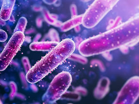 Chemical trick activates antibiotic directly at the pathogen