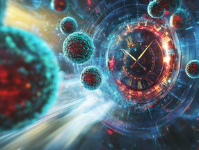 A Journey back in time to the origin of stem cells