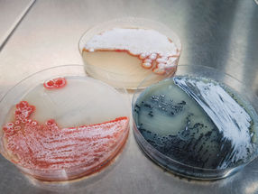 Activating the hidden pharmaceutical potential of bacteria