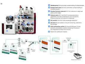 Automated purification of antibodies and antibody fragme ...