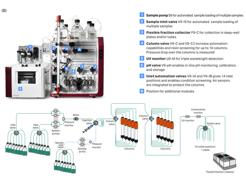 Automated purification of antibodies and antibody fragme ...