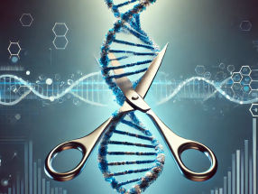 Developing a CRISPR therapy for muscular dystrophy