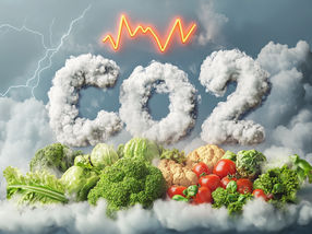 Revolution in biotechnology: CO2 becomes food