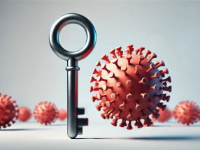 HI viruses crack the lock to the cell nucleus