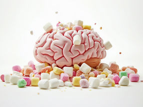 Dessert stomach emerges in the brain