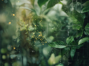 How plants control their active ingredients epigenetically