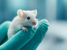 Efficient Development of Drugs with Fewer Mice