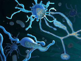 Origin of Life: How microbes laid the foundation for complex cells