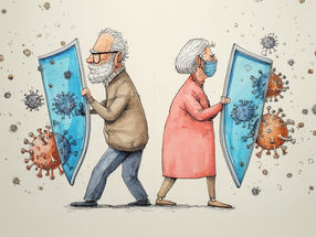 How does the immune system age?