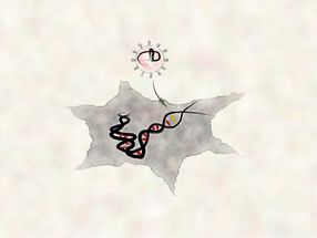 Engineering Smart Delivery for Gene Editors