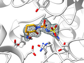 Success in Enzyme Research: New Class of Active Ingredients Developed