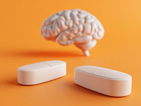 How ibuprofen affects fat metabolism in the brain