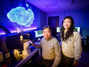 DNA origami guides new possibilities in the fight against pancreatic cancer