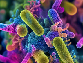 Microbes on the move