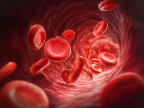 How aging changes the blood system