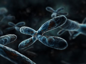 Silent X chromosome awakens with age